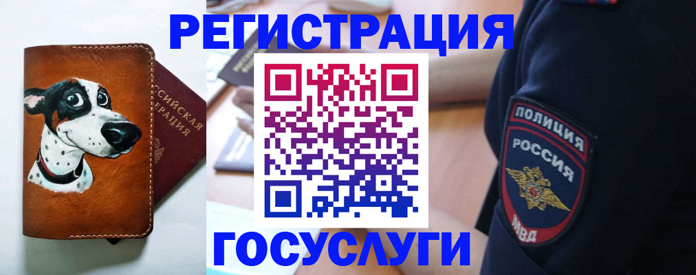 временная регистрация в квартире в Соколе